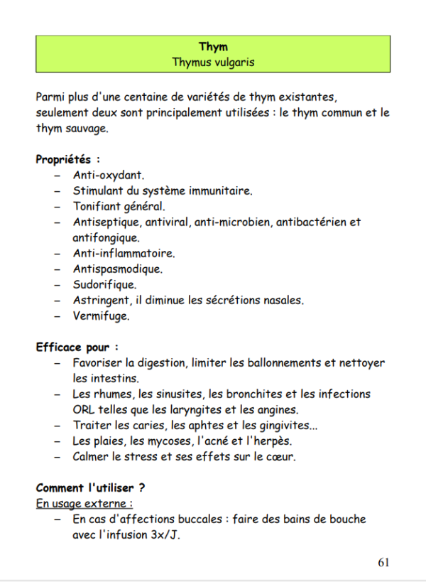 Ebook "Remèdes de secours d'une naturopathe nomade – Image 4