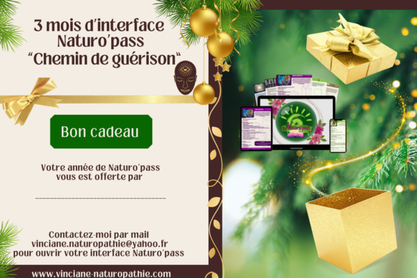 Naturo'pass "Chemin de guérison" 3 mois ✨ – Image 3